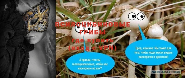 метадон Лагань
