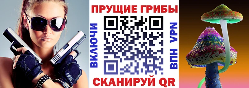 Галлюциногенные грибы прущие грибы Новая Ладога